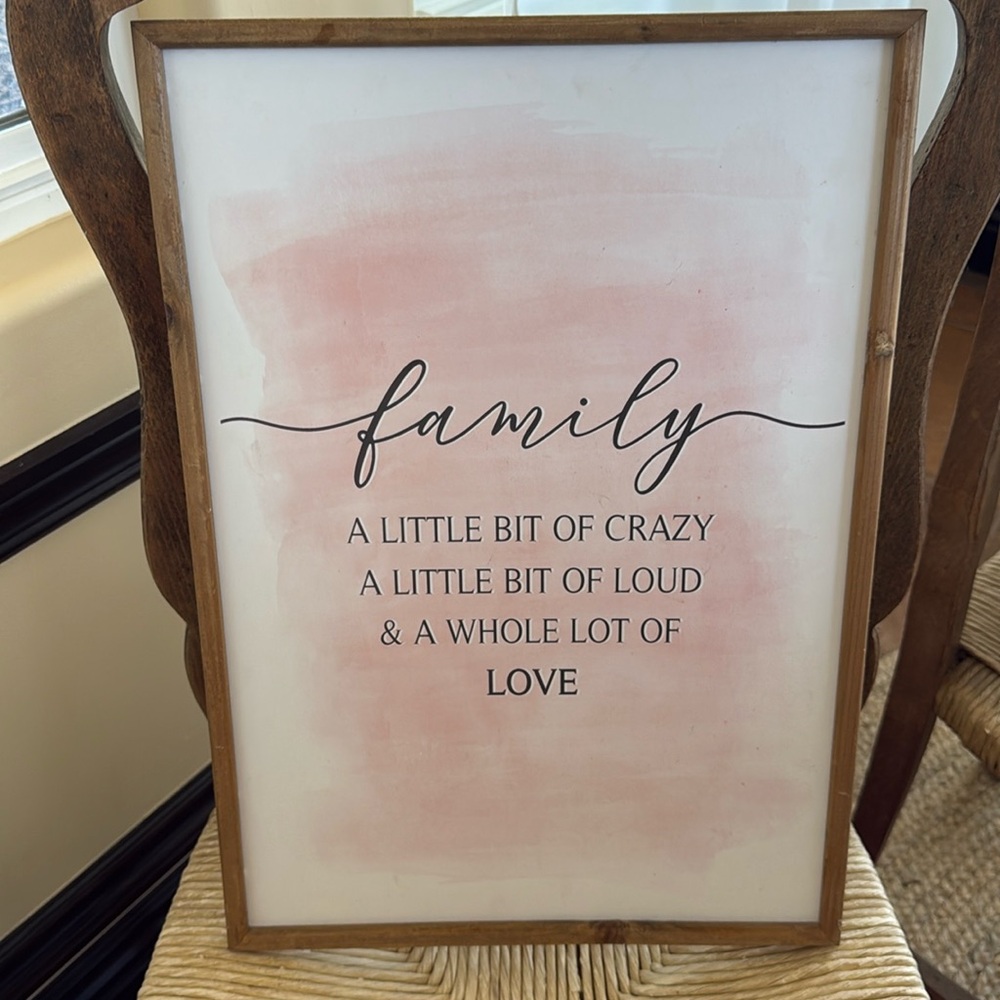 “Family a Little Bit Crazy a Little Bit Loud & a Whole lot of Love” Frame 13X19